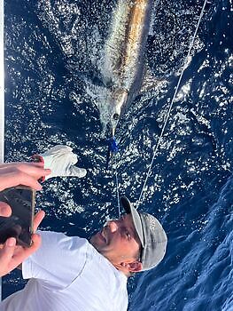 Septiembre White Marlin Gran Canaria