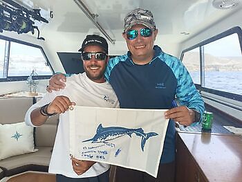 Septiembre White Marlin Gran Canaria