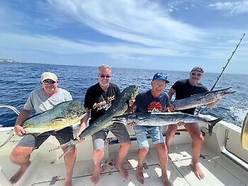 Octubre White Marlin Gran Canaria