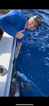 Octubre White Marlin Gran Canaria