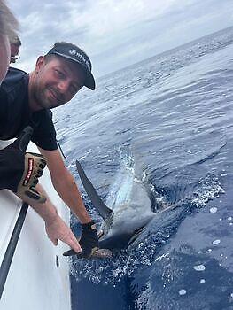 Octubre White Marlin Gran Canaria
