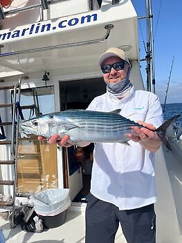 Octubre White Marlin Gran Canaria