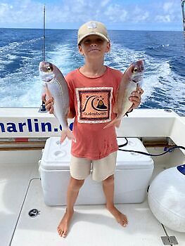 Octubre White Marlin Gran Canaria