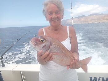 Octubre White Marlin Gran Canaria