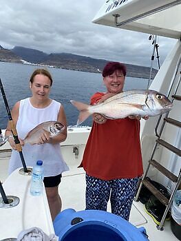 Octubre White Marlin Gran Canaria