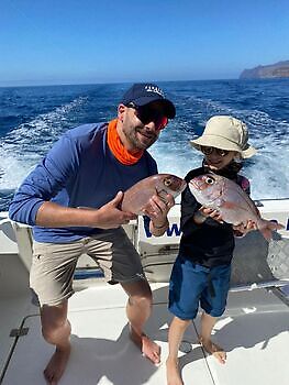 Octubre White Marlin Gran Canaria