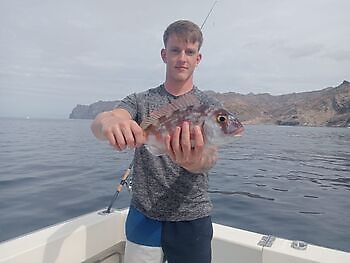 Octubre White Marlin Gran Canaria