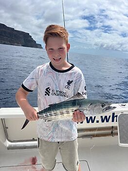 Noviembre White Marlin Gran Canaria