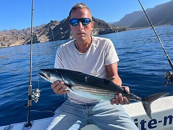 Noviembre White Marlin Gran Canaria