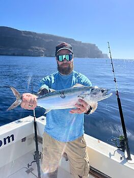 Noviembre White Marlin Gran Canaria