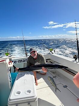Noviembre White Marlin Gran Canaria