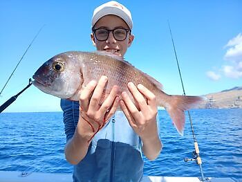 Noviembre White Marlin Gran Canaria