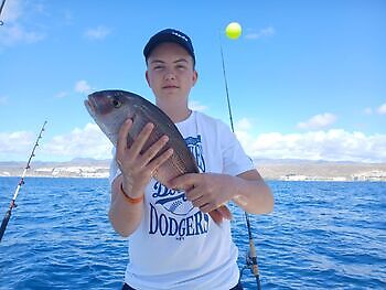 Noviembre White Marlin Gran Canaria