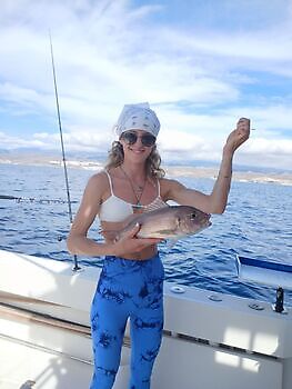 Noviembre White Marlin Gran Canaria