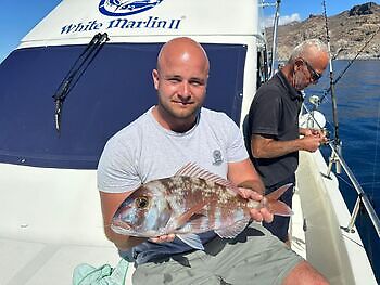 Noviembre White Marlin Gran Canaria