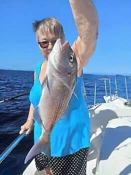 Noviembre White Marlin Gran Canaria
