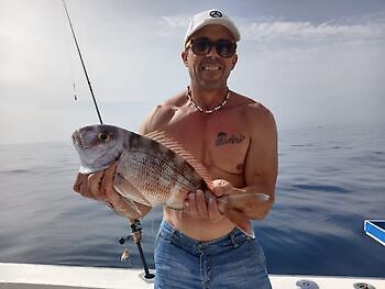 Noviembre White Marlin Gran Canaria