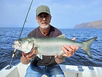Noviembre White Marlin Gran Canaria