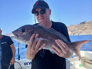 Noviembre White Marlin Gran Canaria