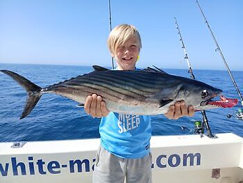Noviembre White Marlin Gran Canaria