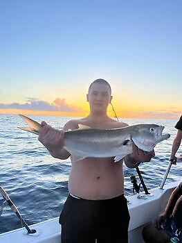 Noviembre White Marlin Gran Canaria