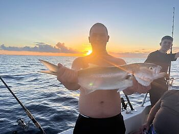Noviembre White Marlin Gran Canaria