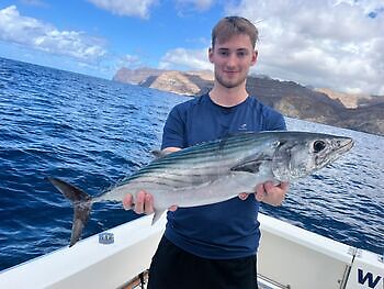 Noviembre White Marlin Gran Canaria