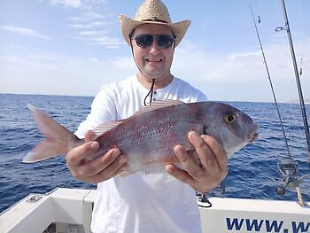 Atún del Atlántico White Marlin Gran Canaria