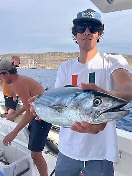 Atún del Atlántico White Marlin Gran Canaria