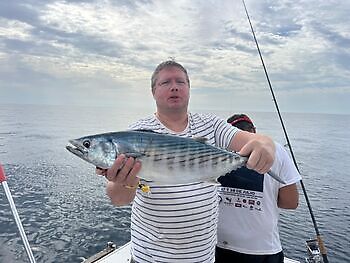 Atún del Atlántico White Marlin Gran Canaria
