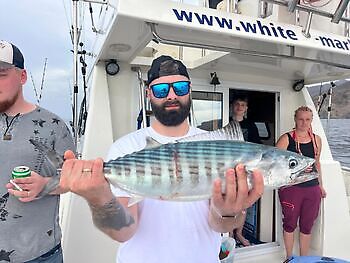 Lunes 🎣🔥🎣 White Marlin Gran Canaria