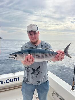 Lunes 🎣🔥🎣 White Marlin Gran Canaria