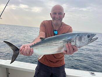 Atún del Atlántico, barracudas, medregal White Marlin Gran Canaria