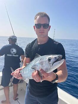 Zondag 🎣💪🎣 White Marlin Gran Canaria