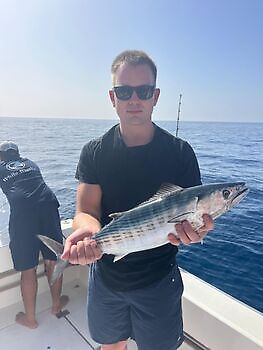 Capturas White Marlin Gran Canaria