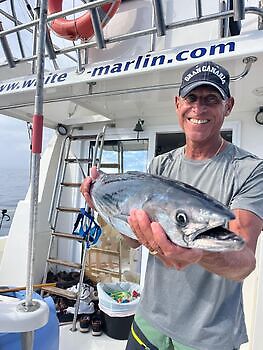 Capturas White Marlin Gran Canaria