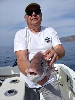 Maŋŋebárgga 🎣🔥🎣 White Marlin Gran Canaria