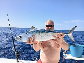 Gaskavahku mas leat olu doaimmat White Marlin Gran Canaria