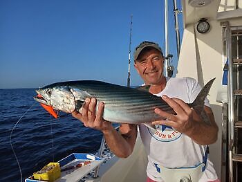 Skipjack ja atlánttalaš tunis White Marlin Gran Canaria