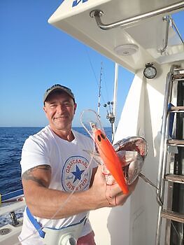 Skipjack ja atlánttalaš tunis White Marlin Gran Canaria