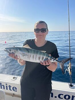 Suerte pescadoras White Marlin Gran Canaria