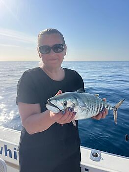 Suerte pescadoras White Marlin Gran Canaria
