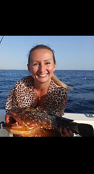 Zeebaars White Marlin Gran Canaria