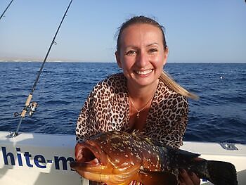 Zeebaars White Marlin Gran Canaria