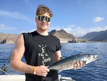 Tarde noche Atún del Atlántico White Marlin Gran Canaria