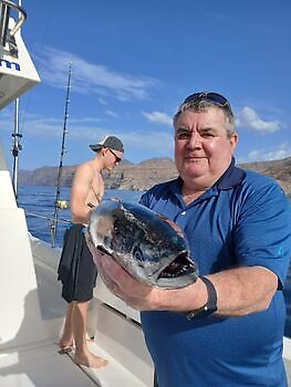 Atlantischer Thunfisch White Marlin Gran Canaria