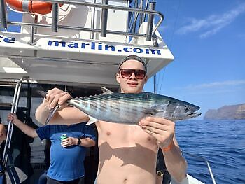 Atlantischer Thunfisch White Marlin Gran Canaria
