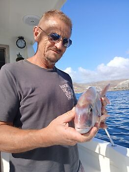 Último fin de semana del año Pescadores White Marlin Gran Canaria