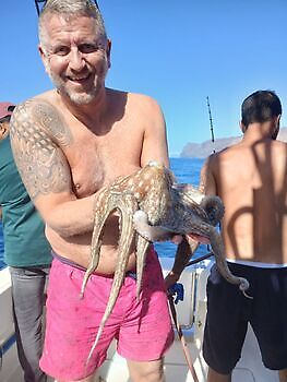 Last weekend of the year Fishermen White Marlin Gran Canaria