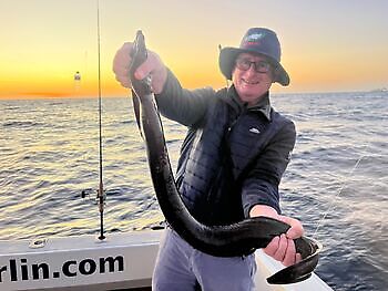 Last weekend of the year Fishermen White Marlin Gran Canaria